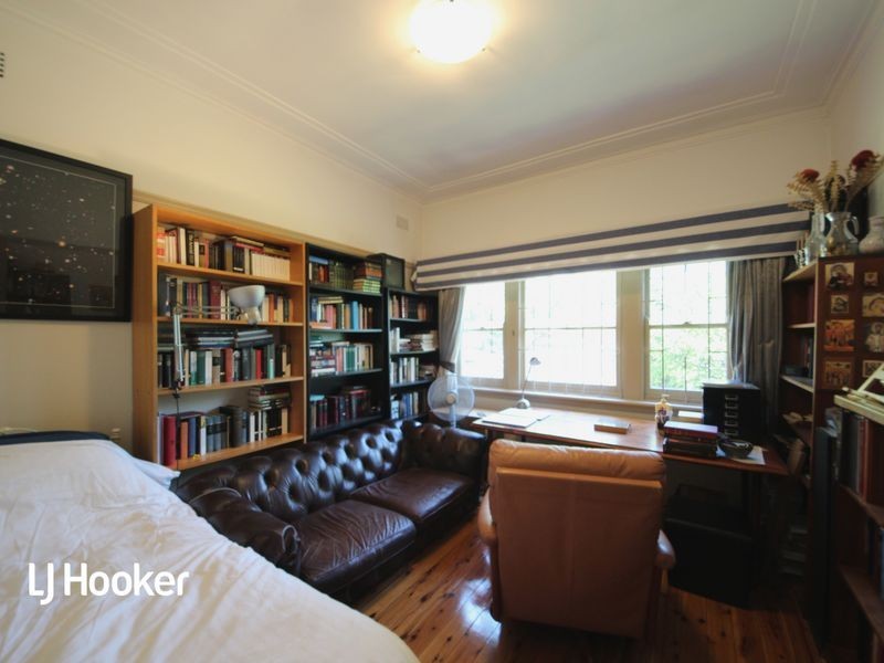 31 Lucy Street, Ashfield NSW 2131