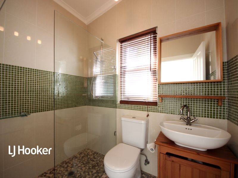 17 Macgregor Street, Croydon NSW 2132