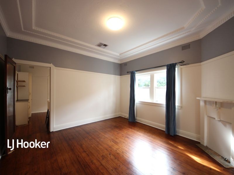 17 Macgregor Street, Croydon NSW 2132