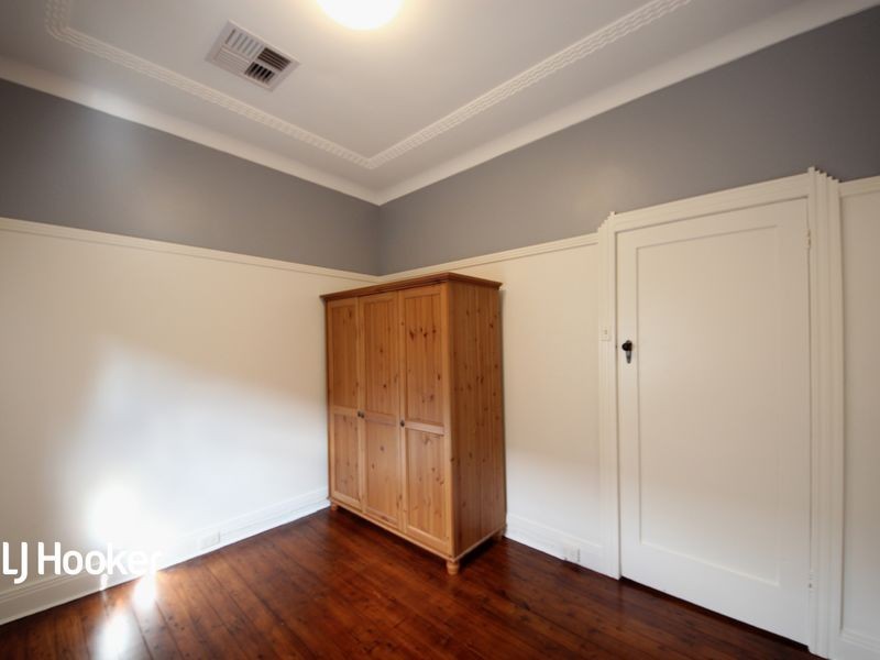 17 Macgregor Street, Croydon NSW 2132