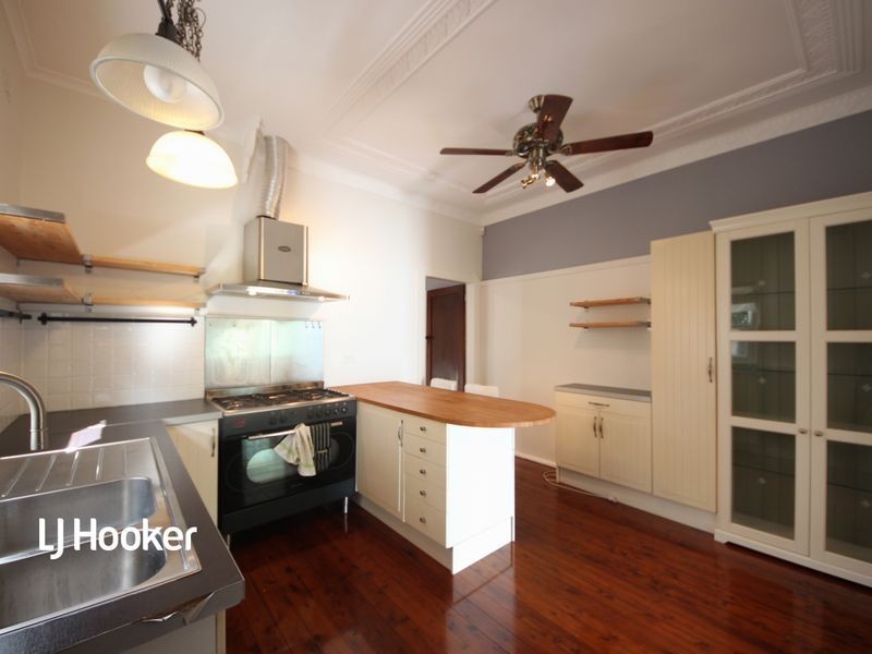 17 Macgregor Street, Croydon NSW 2132