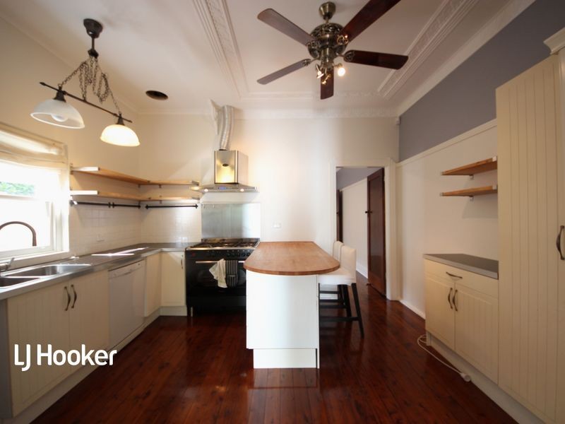 17 Macgregor Street, Croydon NSW 2132