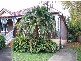 45 Fitzroy Street, Burwood NSW 2134