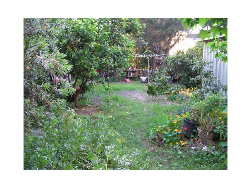 1 Bligh Street, Burwood Heights NSW 2136