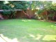 1C Carilla Street, Burwood NSW 2134