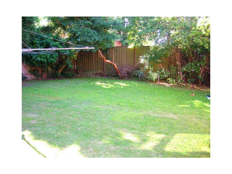 1C Carilla Street, Burwood NSW 2134