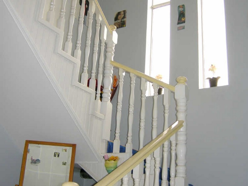 21 Queen Street, Croydon NSW 2132