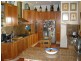 21 Badminton Road, Croydon NSW 2132