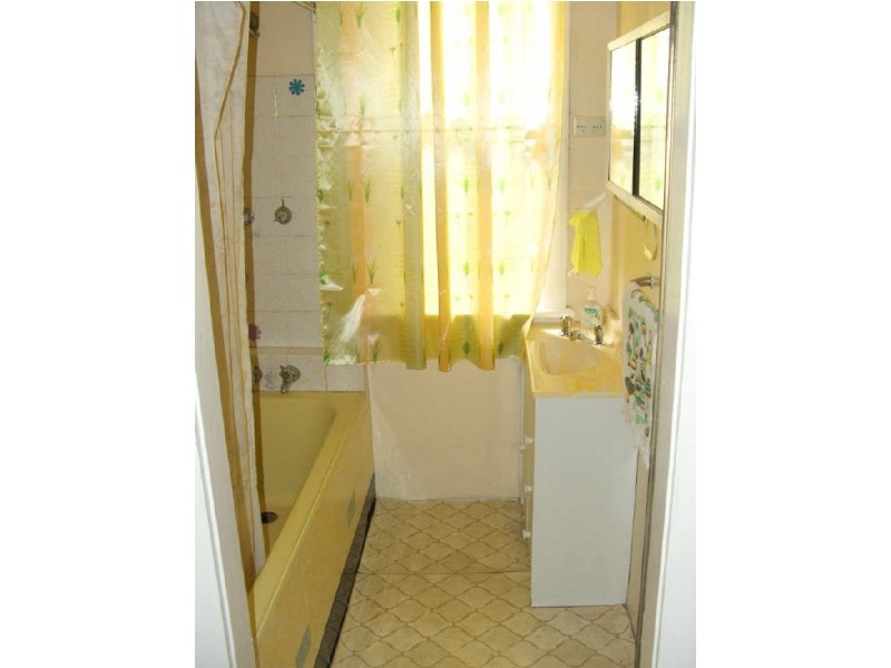 146 Wentworth Road, Burwood NSW 2134