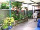4 Tristania Grove, Greenacre NSW 2190
