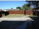 7 Lily Street, Burwood Heights NSW 2136