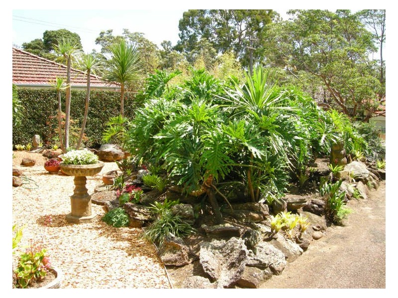 60 Beresford Road, Strathfield NSW 2135