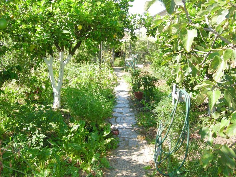 89 Burwood Road, Belfield NSW 2191