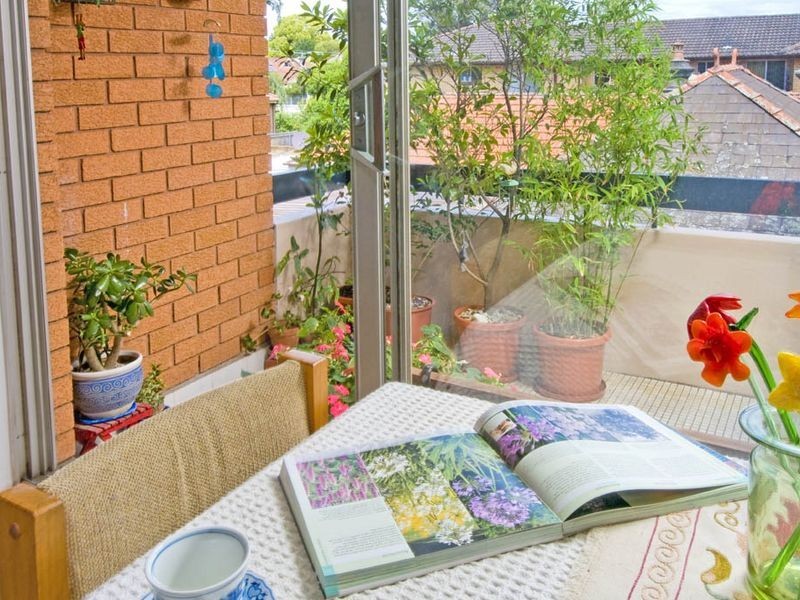 3/155 Frederick Street, Ashfield NSW 2131
