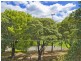 3/155 Frederick Street, Ashfield NSW 2131