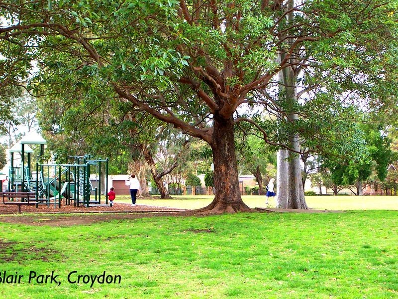 35 Kenilworth Street, Croydon NSW 2132