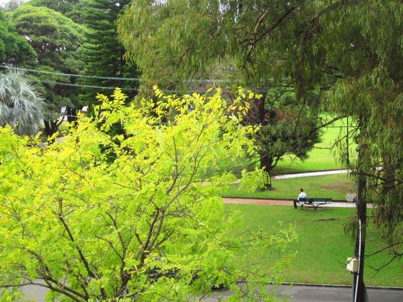 10/34-38 Park Avenue, Burwood NSW 2134