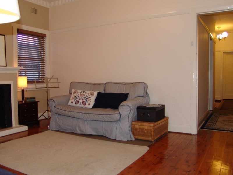 19 Orchard Street, Croydon NSW 2132