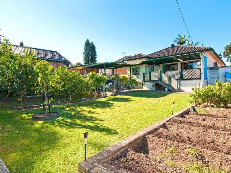 7 Service Avenue, Ashfield NSW 2131