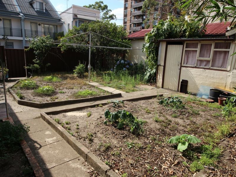 5 Hornsey Street, Burwood NSW 2134