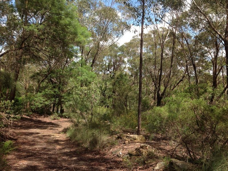 38 Sedger Road, Kenthurst NSW 2156
