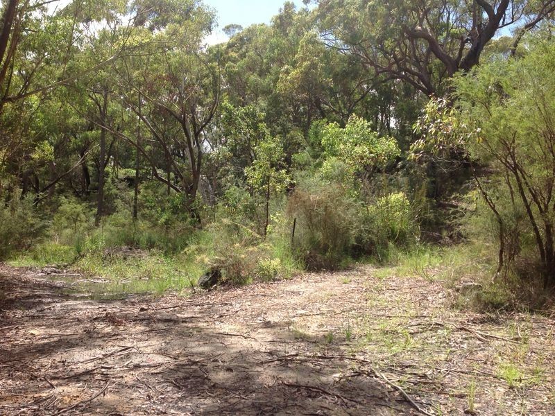 38 Sedger Road, Kenthurst NSW 2156