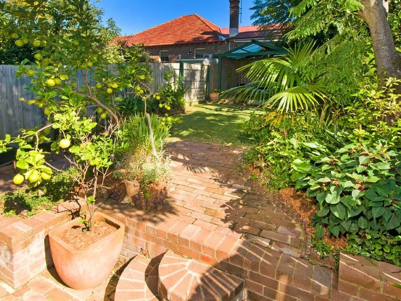 37 Wallace Street, Burwood NSW 2134