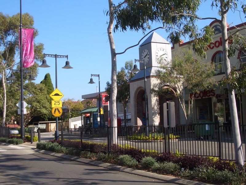 10 Wellbank Street, Concord NSW 2137