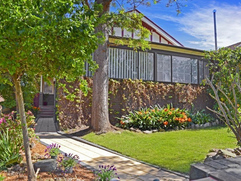46 Edwin Street South, Croydon NSW 2132