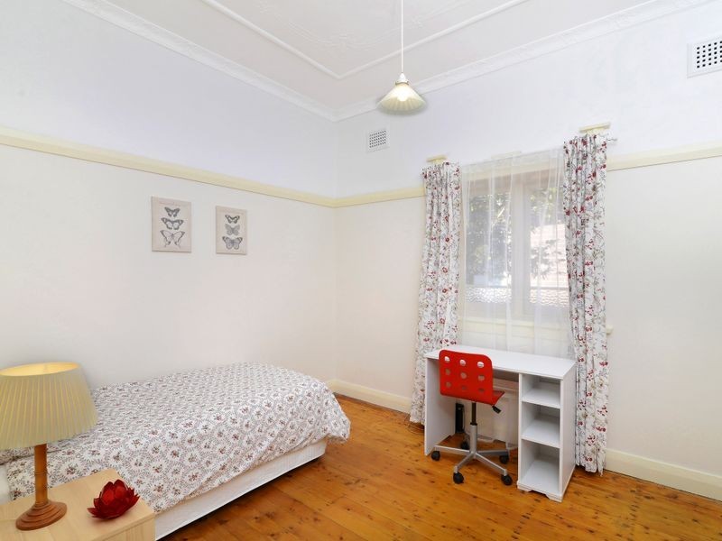 46 Edwin Street South, Croydon NSW 2132