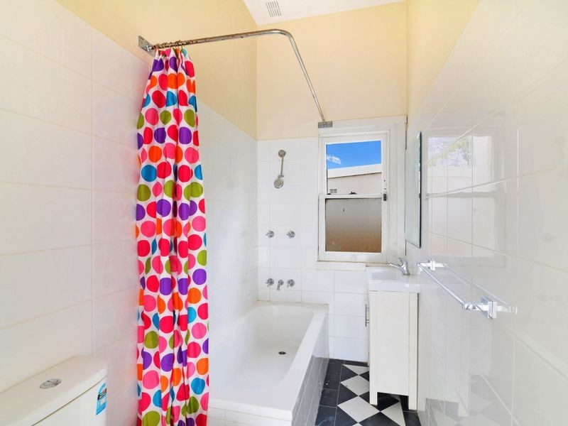 17 Edward Street, Summer Hill NSW 2130