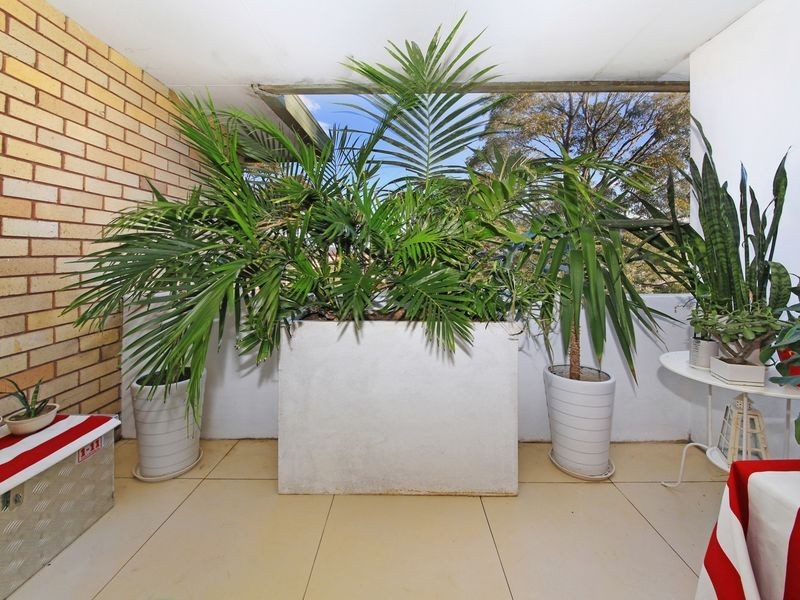 7/199 Liverpool Road, Burwood NSW 2134