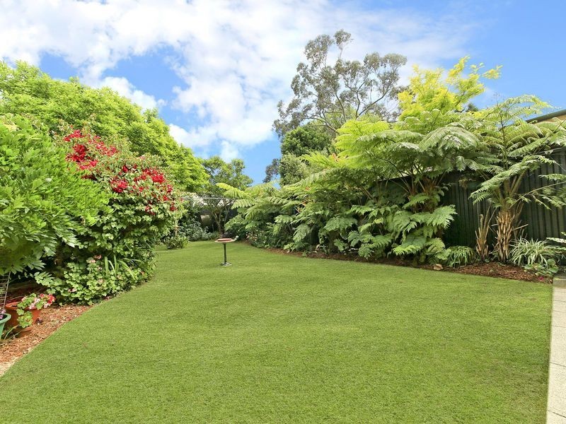 31 Greenhills Street, Croydon NSW 2132