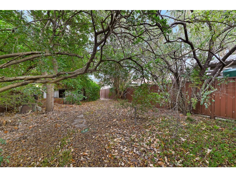 8 George Street, Burwood Heights NSW 2136