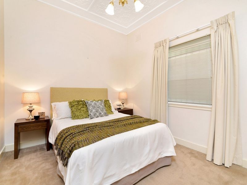 213 Elizabeth Street, Croydon NSW 2132