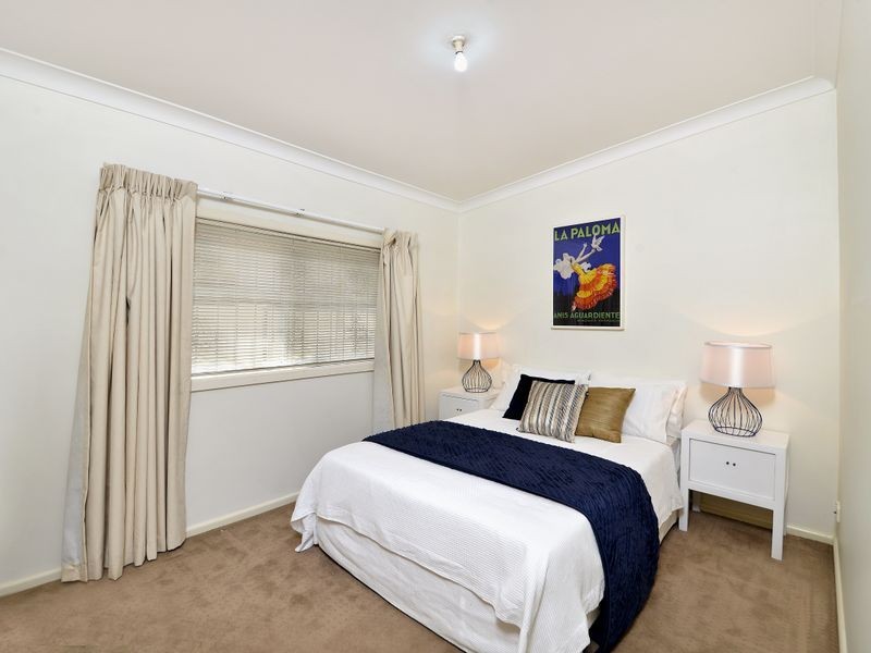 213 Elizabeth Street, Croydon NSW 2132