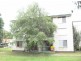Concord NSW 2137