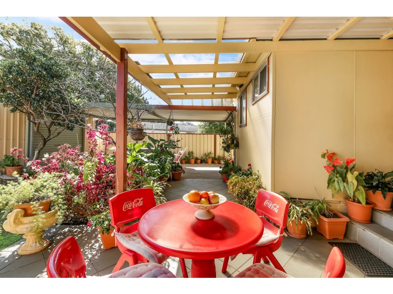 5 Ivy Street, Canterbury NSW 2193