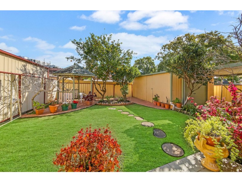 5 Ivy Street, Canterbury NSW 2193