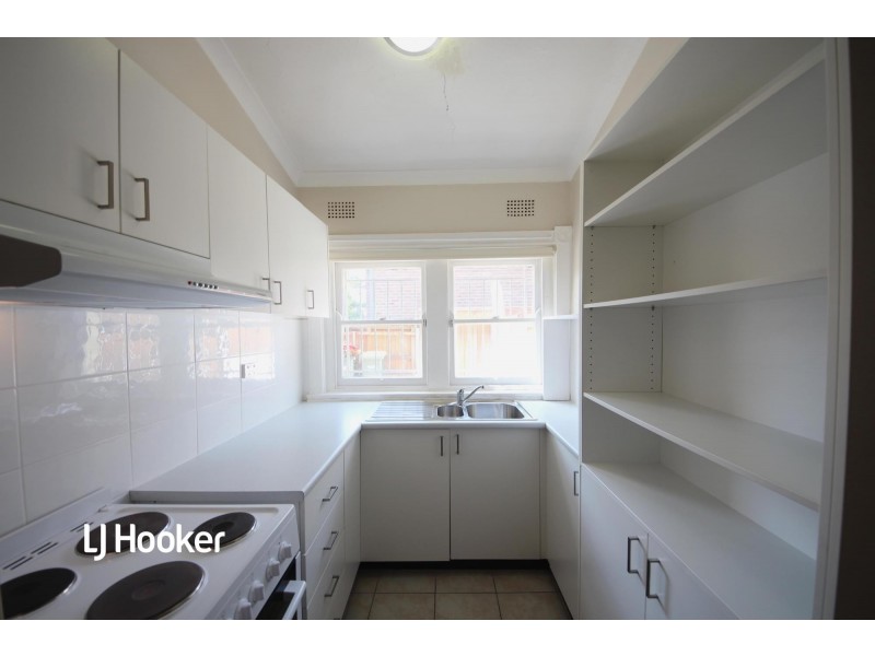 33 Lucy Street, Ashfield NSW 2131