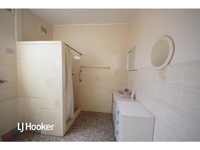 11 Milton Street North, Ashfield NSW 2131