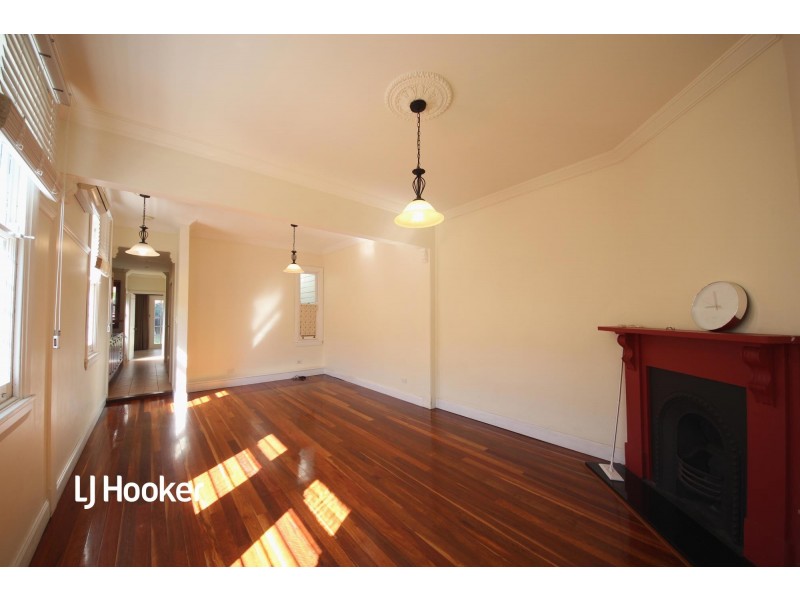 44 Heighway Avenue, Croydon NSW 2132