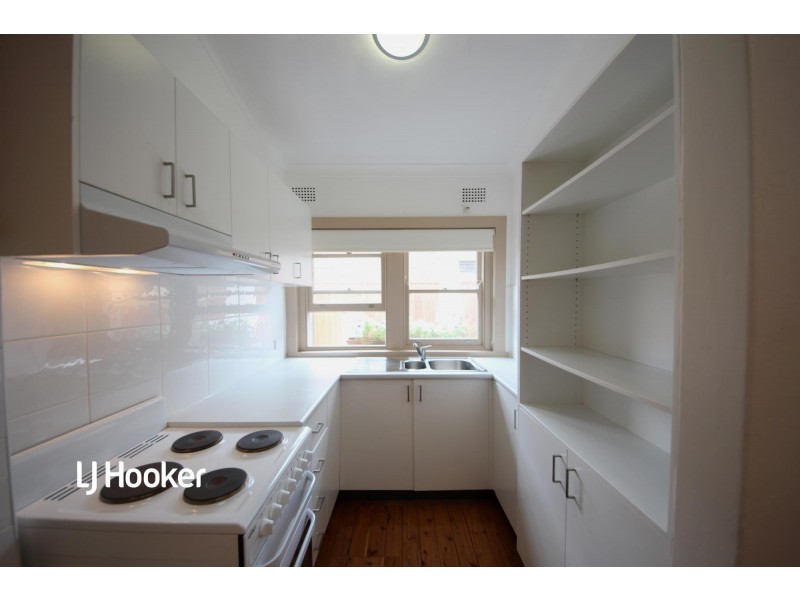 31 Lucy Street, Ashfield NSW 2131