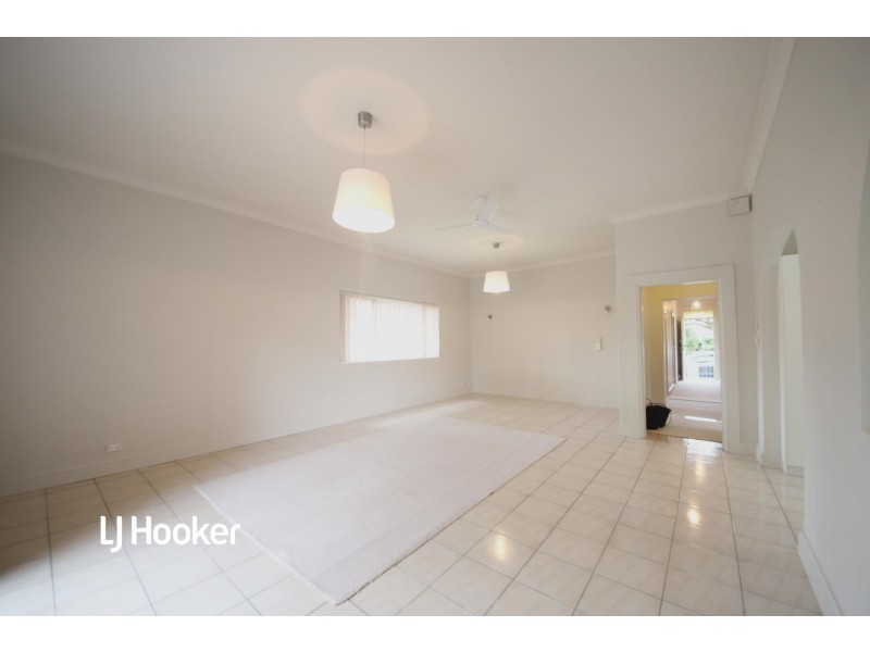39 Holborow Street, Croydon NSW 2132