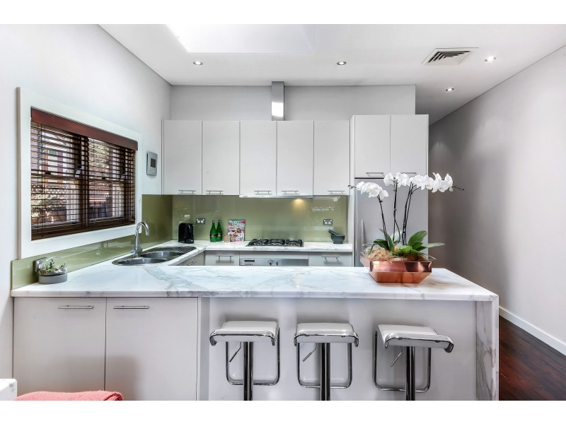 77 Arthur Street, Croydon NSW 2132