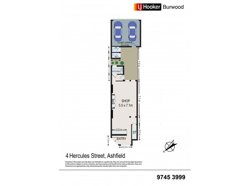 4 Hercules Street, Ashfield NSW 2131