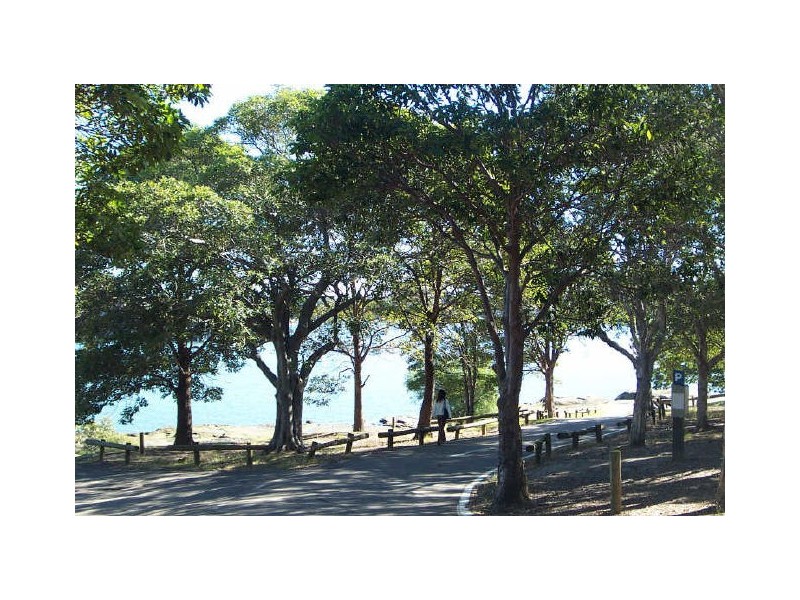 Cabarita NSW 2137
