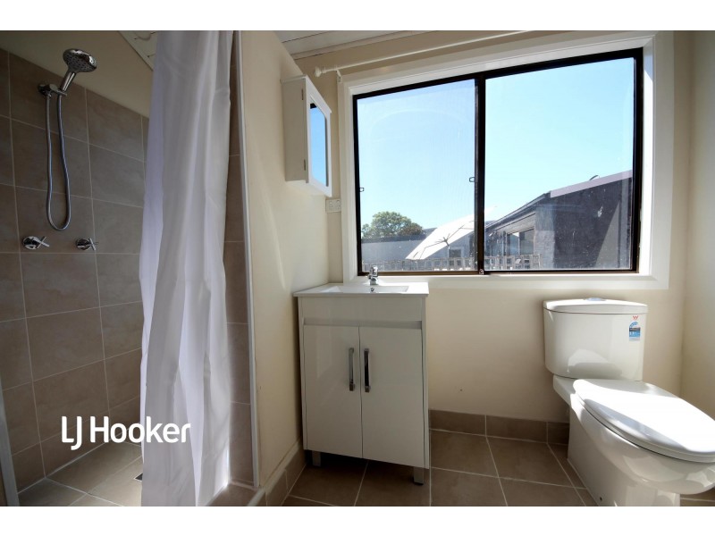 67 Annesley Street, Leichhardt NSW 2040