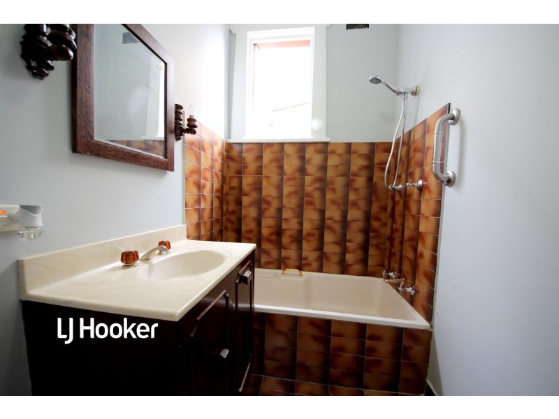 10 Wyalong Street, Burwood NSW 2134