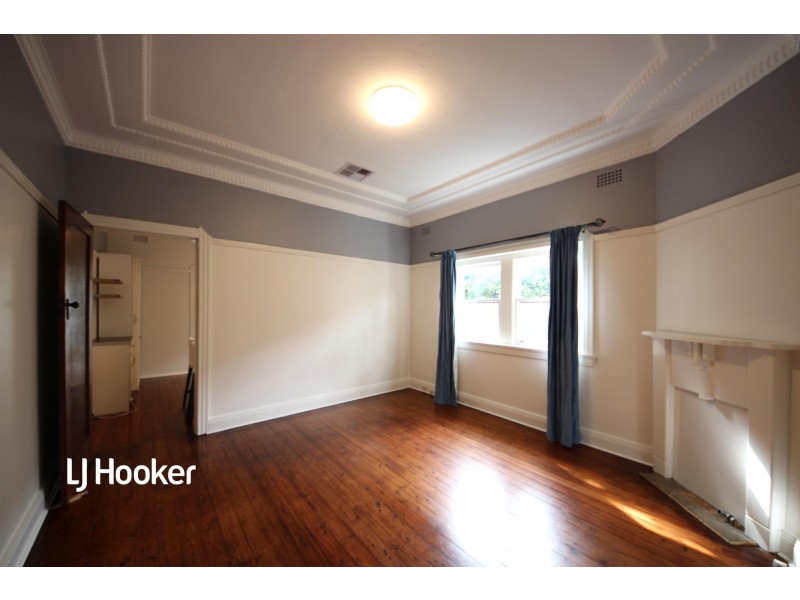 17 Macgregor Street, Croydon NSW 2132